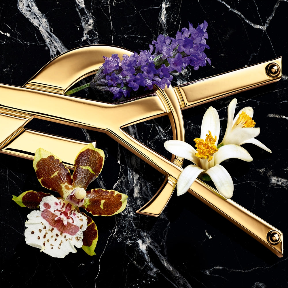 Yves saint laurent | libra intense